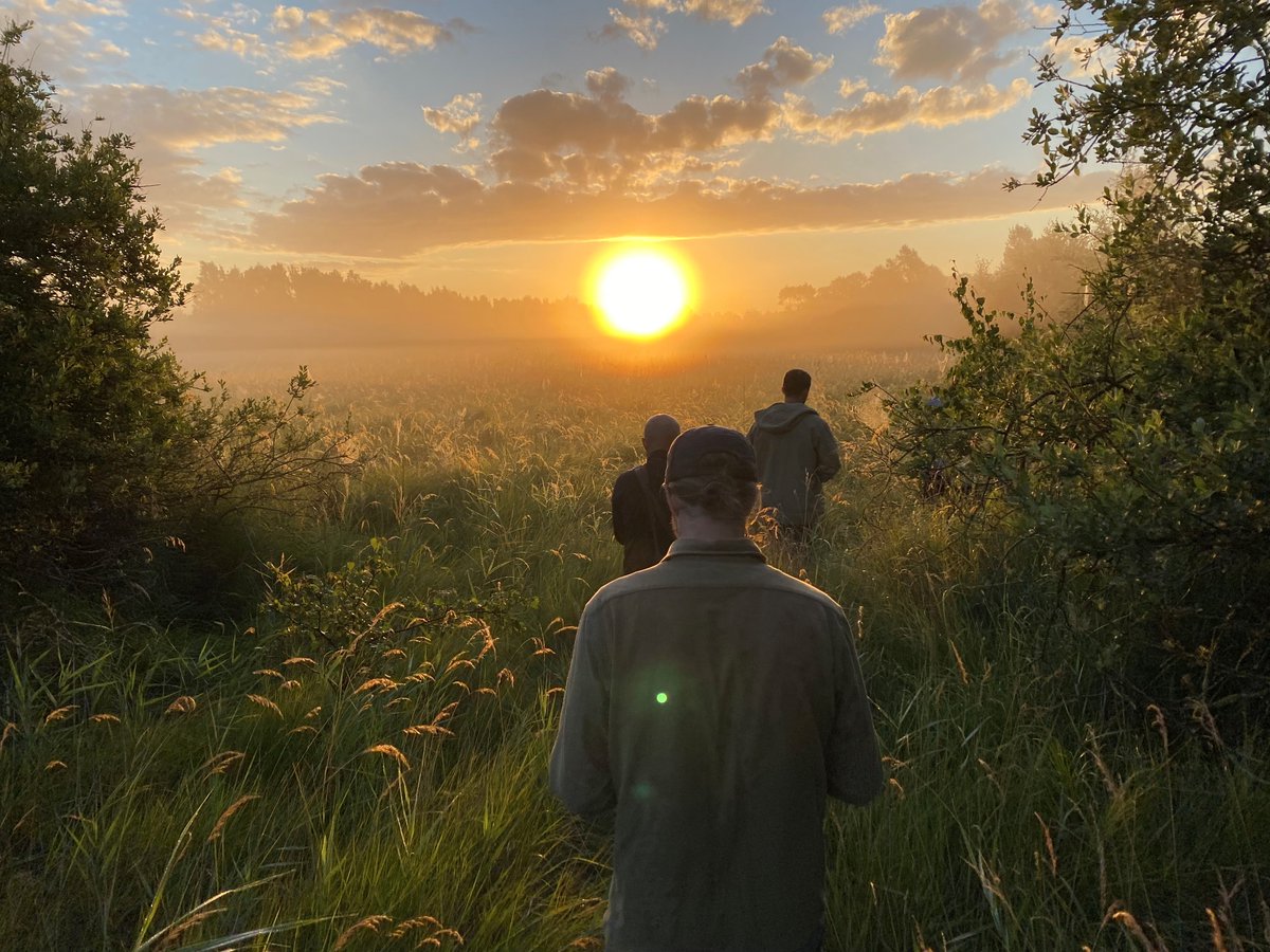 Anders Tøttrup tweet media