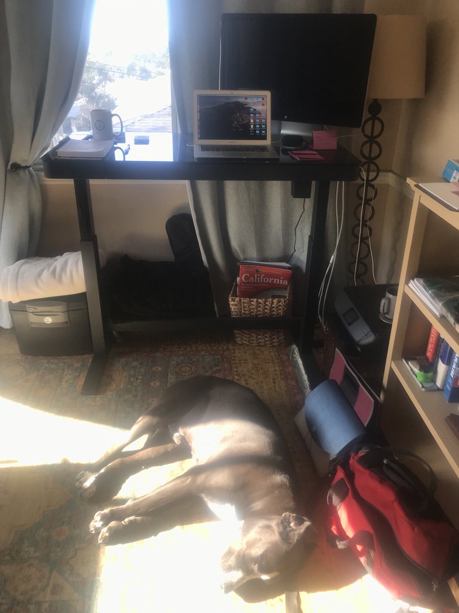 Dan Sheehan tweet media