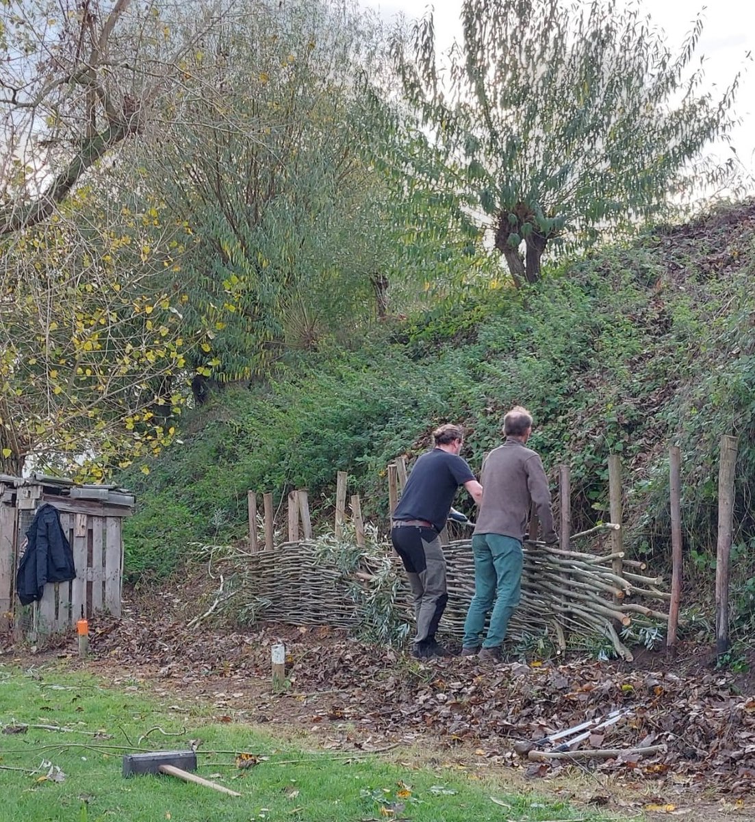 LandschErfgoed's tweet image. Wat een mooie #natuurklussen vandaag in de @ProvUtrecht! In Vreeland, Harmelen, Woudenberg en Tull en 't Waal werd gewerkt in de sloot, gesnoeid, takken gevlochten en er werden wilgen geknot. Op naar morgen voor weer een mooie @NatuurwerkdagNL! Doe je mee? natuurwerkdag.nl