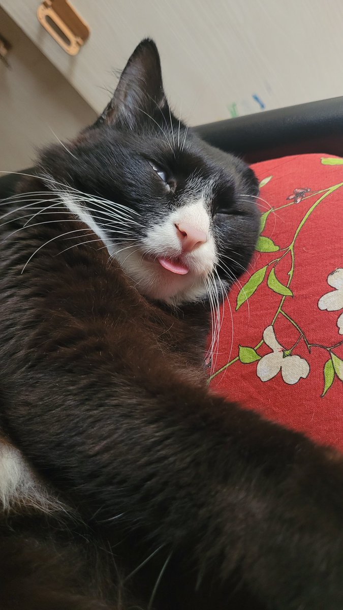 Pavan Srinath (@zeusisdead) on Twitter photo 