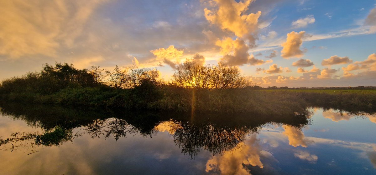 marcelbar8's tweet image. Soms krijg je onverwachts 'n cadeautje in je schoot geworpen. Dat overkwam mij deze namiddag toen ik in de polder wandelde in #OudAde vlakbij #Leiden. Het wolkendek brak open, de zon kwam tevoorschijn en zorgde voor 'n prachtige #zonsondergang🤩

Goed weekend. 

#terugvolgvrijdag