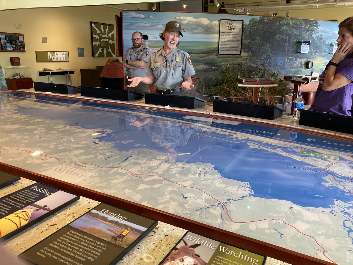 Rodney_Crouse's tweet image. A National seashore since 1965 but there’s a lot of history and movement here way before that! @dacia92 @AssateagueNPS #AssateagueAwesome #SwiftLearner