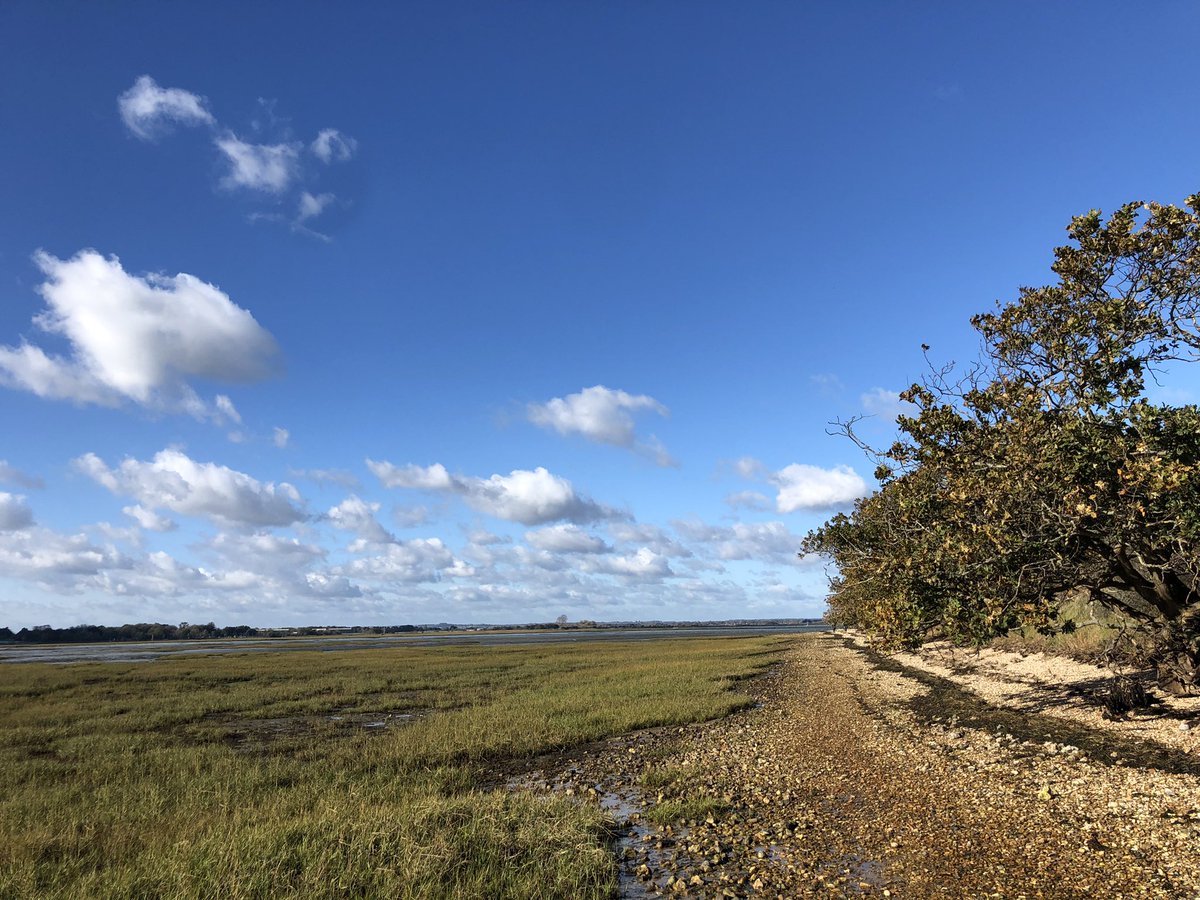 debheighes's tweet photo. @SangitaMyska Cobnor Point https://t.co/Dq3498bhNP