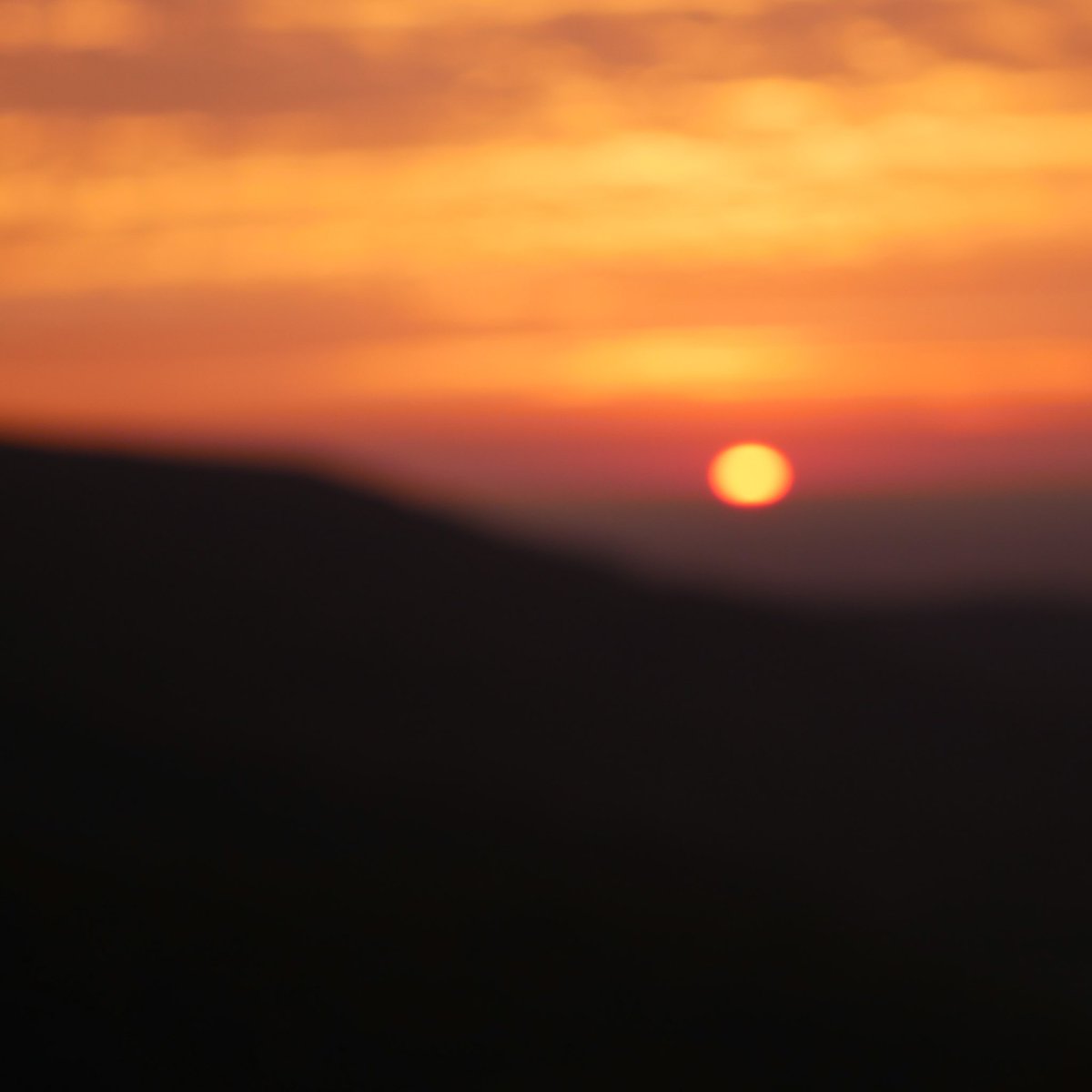 stumblesteady tweet media