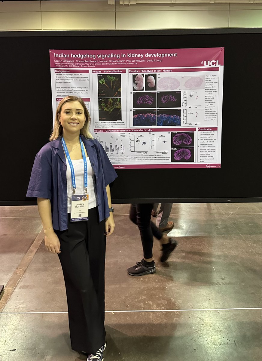 Had some great discussions about 🦔 signalling in kidney development at my first <a href="/ASNKidney/">American Society of Nephrology</a> #KidneyWk. Thanks to everyone who came by my poster to chat, have some interesting new ideas to take forward in my PhD 🙏🏼