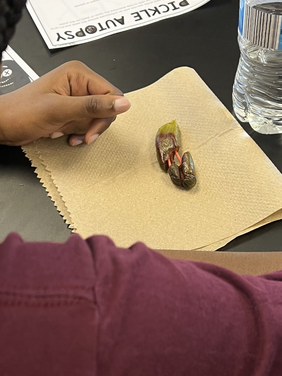 BrainyBio_Bunch's tweet photo. @WarhillHigh @PLTWorg Ss participated in the pickle autopsy lab to practice critical thinking, problem solving, and identifying cause/mechanism and manner of death. https://t.co/Dltp7NdEWL