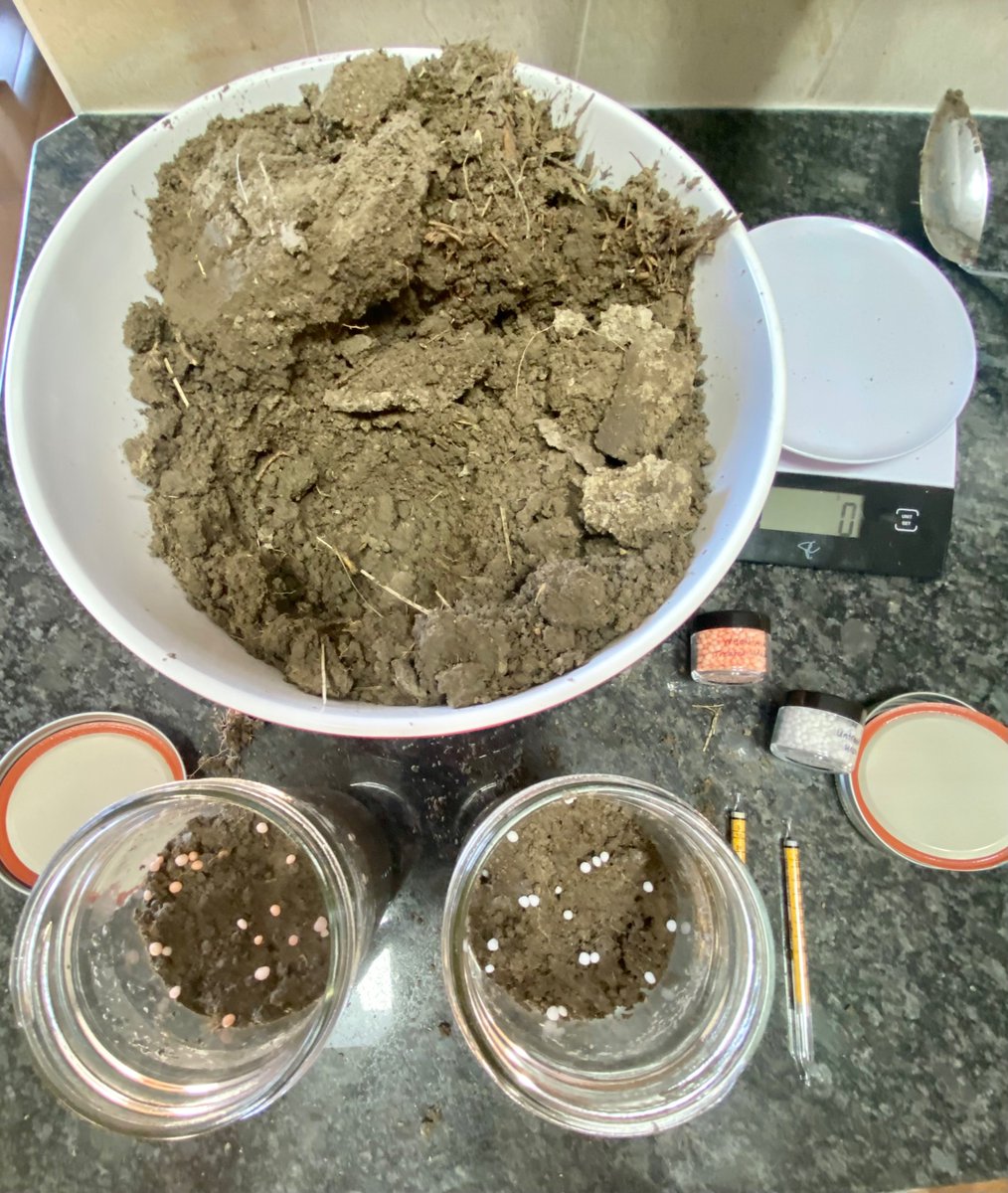 Ag_Deeva's tweet photo. Science lab (my kitchen).

Getting ready for #AgriTrade22, this is a nitrogen volatilization demo looking at untreated vs Neon Air treated urea.

We’ll have a few of these demonstrating different time periods, come check it out at the @nexusbioag  booth! https://t.co/VGtjo0mHVP