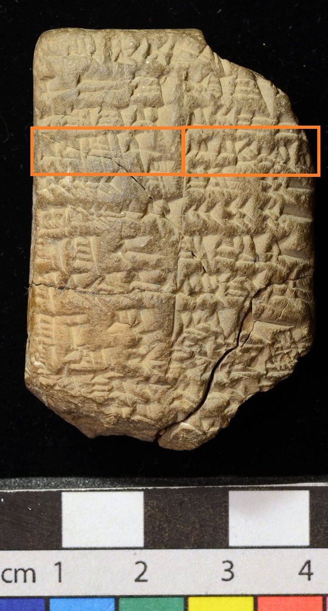 Zachary Rubin tweet media