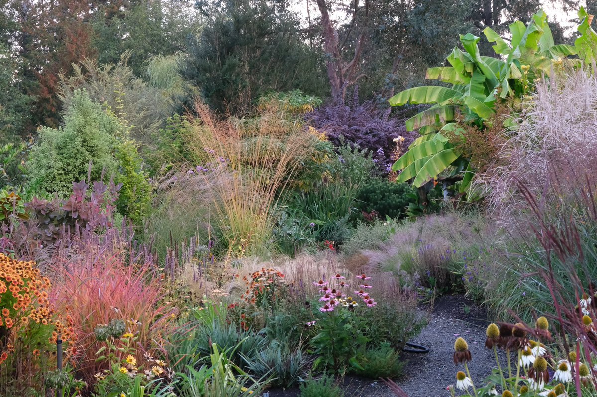 Loving the #grass #garden in #september  #landscapephotography #landscapedesign #fall #autumn