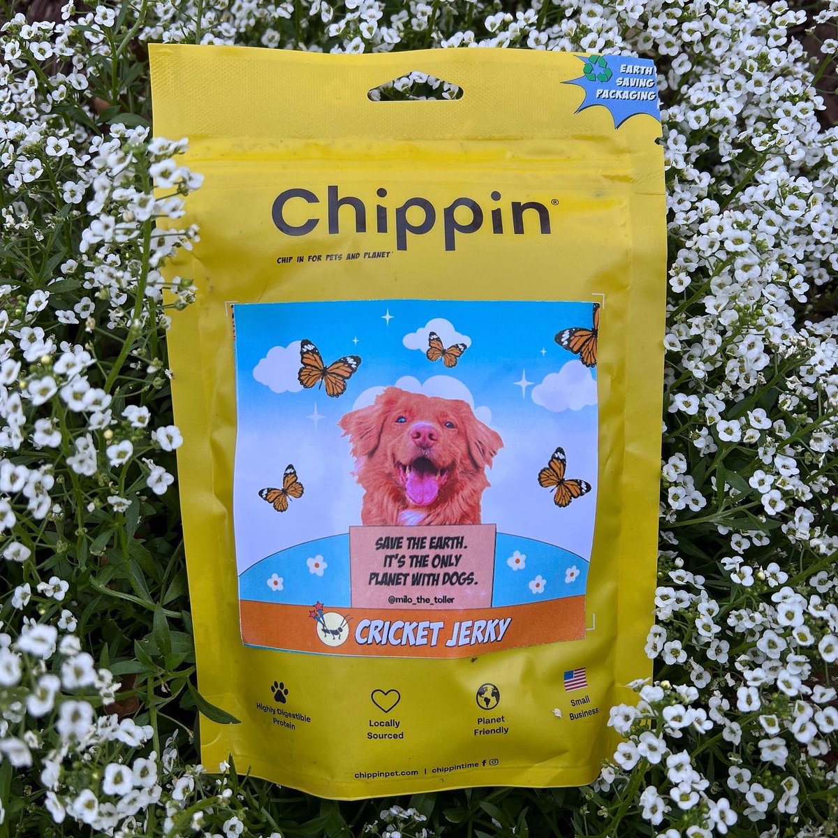 We are so excited to partner up with <a href="/chippintime/">Chippin</a> for Milo’s own limited addition treats!!! They are Milo’s favorite treats! Even better is that <a href="/chippintime/">Chippin</a> is donating 15% of sales to @pollinatorpartnership! 

chippinpet.com/products/milo-…