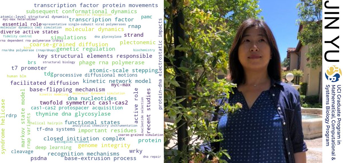 #mcsb PI spotlight: Professor Jin Yu in Physics &amp; Astronomy, Developing Physical Insights into Biomolecular Machinery! #biophysics #dna
 sites.uci.edu/jinyulab