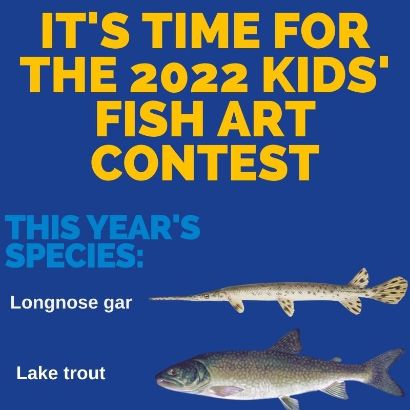 FishWildlifeON's tweet photo. Are you a student who likes to draw?
Show off your artistic ability by entering our Kids #FishArtContest!
Submit a drawing of either a longnose gar or a lake trout by December 31 for a chance to win.
📋 https://t.co/6FJSttIbRE
#KidsFishArt2022 #KFA2022 #artcontest #contest https://t.co/d9m4jfUuJR