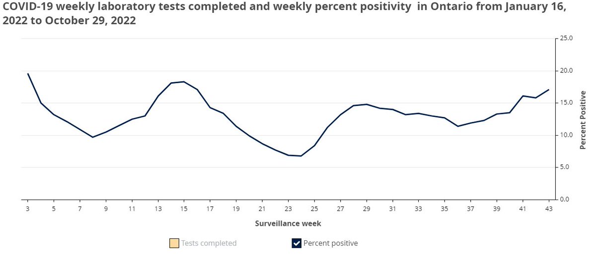 Mustafa Hirji tweet media
