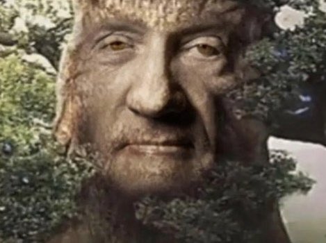 Derpixon ️ on Twitter: ““Winner takes all, as promised!” 🍰 https://t.co