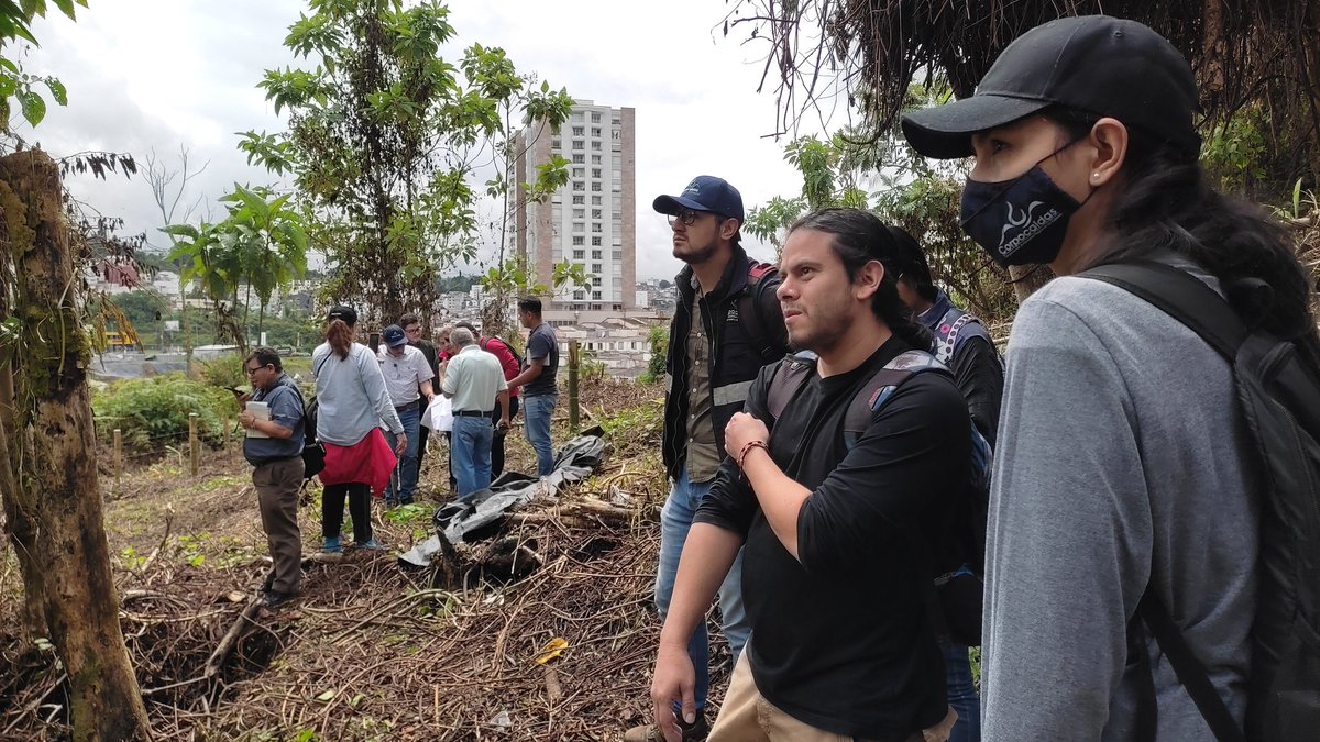 jdavidarangog's tweet photo. Con ayuda de nuestros técnicos del área de Fauna, verificaremos si hubo o no una afectación a especies de animales en la rocería que adelantó el privado en un predio del Camino de la Palma Real en Manizales. https://t.co/GfjHemAxev