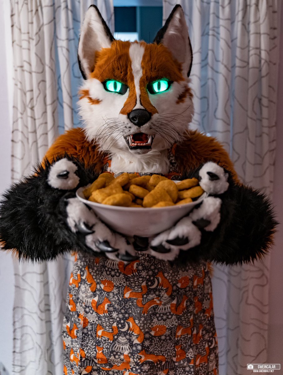 Hey! Hey! Hey!
May I interest you in some nuggies? 

#FursuitFriday #FoxFriday
📸 by <a href="/gweincalar/">Gwein</a>