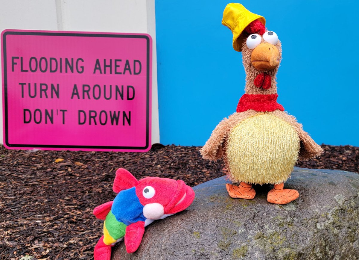 Sally and Larry would like to remind everyone that while rain is great to see, it can also lead to flooding.   The best bet is to NOT cross roadways that have water moving across them, something we may be seeing more of in the next few days.   #orwx #wawx
