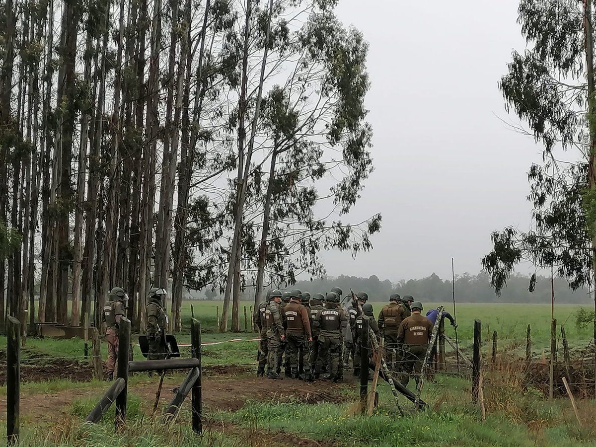 Hoy el agricultor del fundo Línea Pantanosa en #Frutillar tuvo que ingresar maquinaria con un contingente policial para poder alimentar su ganado, debido al constante acoso de la comunidad Weichan Mapu. ¿Es acaso éste el estado de derecho que merecemos los contribuyentes?