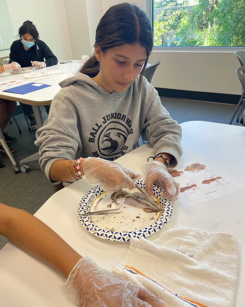 TGRFound's tweet photo. Students participating in the Comparative Zoology course in our after-school program explore living organisms from dogfish sharks to squid. As they examine what lies beneath the surface of the skin they uncover how animals survive and learn about zoology careers. #STEMisLife https://t.co/q0zjLbWWYo