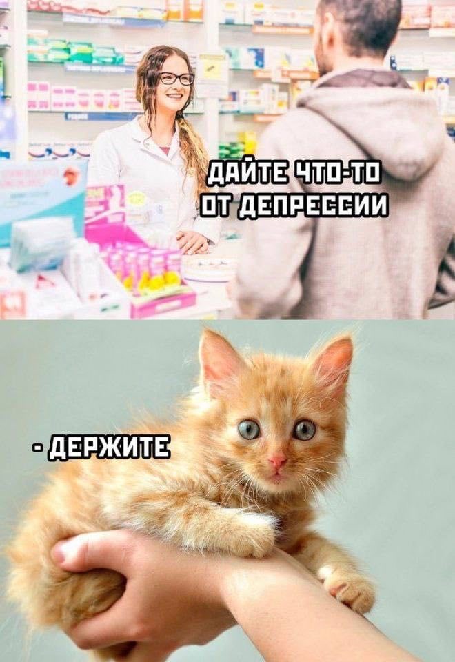 RussianMemesLtd's tweet photo. - Give me something for depression

- Take this https://t.co/Mx95RJXG0p