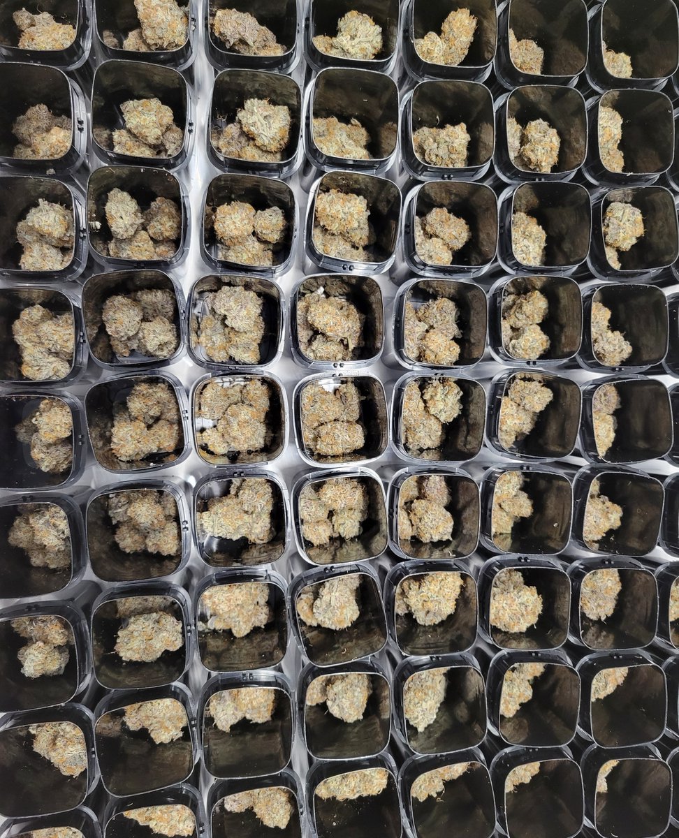 Ontario we've got a fresh batch of @tommys_craft_cannabis Grape Galena headed your way next week 👌