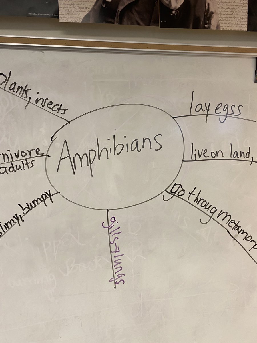 Yay! Emerson! Our non-fiction readers and writers are crushing unit 2 CKLA! ⁦<a href="/APSVirginia/">Arlington Public Schools</a>⁩ ⁦<a href="/TuckahoeSchool/">Tuckahoe Elementary School</a>⁩ @tuckahoeGrade3