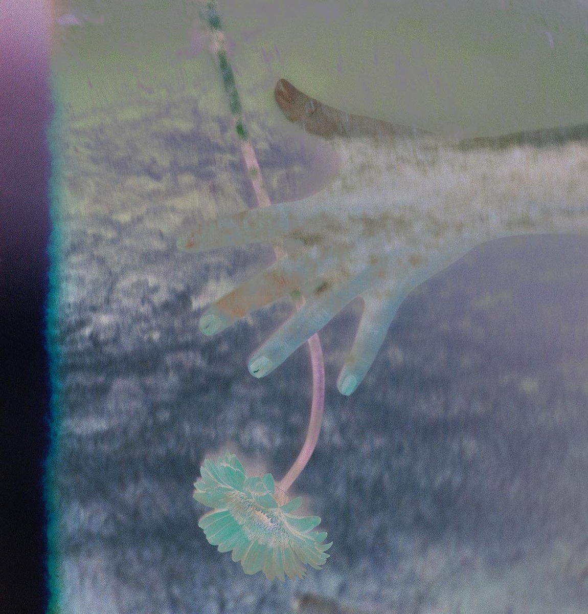 KatiegONeill's tweet image. INTO THE BEYOND, releasing December 2022. Preview new single VACUUM and pre-order album now: 

katieoneill.bandcamp.com/album/into-the…