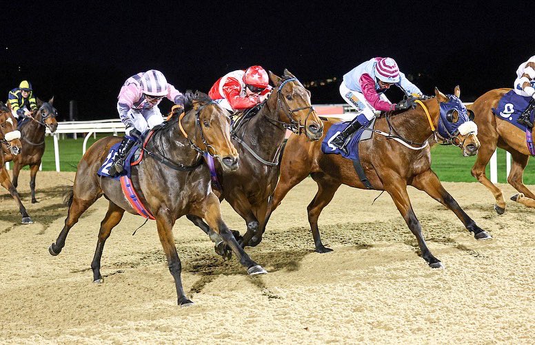 RuthCarr1's tweet image. Embour and @james33837096 deadheat @NewcastleRaces tonight! Well done to owners @polymerprods and all the team at Mowbray. #workingforwinners #lovetheracehorse