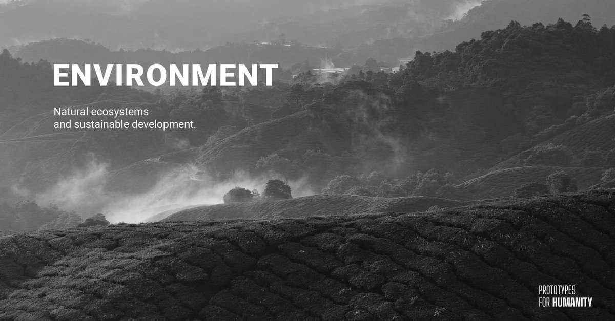 PrototypesforH's tweet image. 100 projects covering a range of themes, all to be showcased in one of the most eagerly awaited events of the year!

Are you ready for it?

#prototypesforhumanity
#impactsolutions
#impactinnovation
#graduatestudents  

@difc @dubaiculture @ArMholding