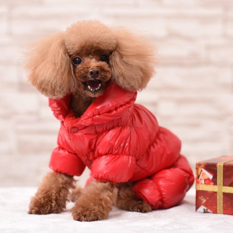 what_dogs_needs's tweet photo. Dog Clothes Waterproof Pet Custome Jumpsuit Winter Jacket Warm Clothes for Small Dogs French Bulldog Puppy Chihuahua York Cats
Here you will find all your dog needs: https://t.co/WmRc83diSp

#Dog #dogsoftwitter #dogsinstagram #dogs #DogsOnTwitter #dogsoninstagram #Drake #HERLOSS https://t.co/ghQlfAzktg