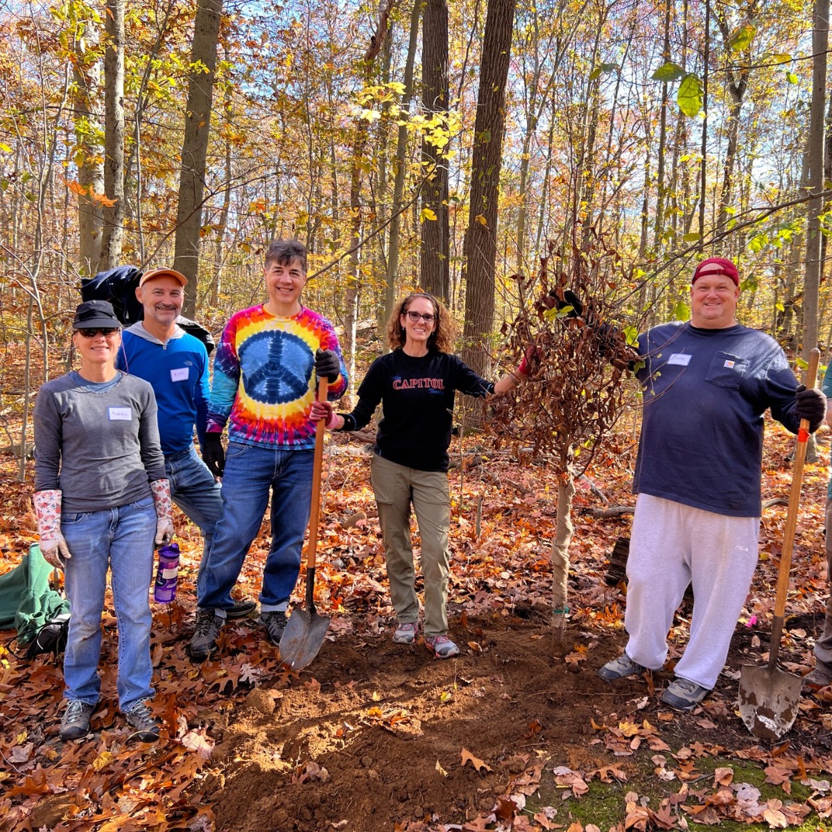 capitoltheatre's tweet photo. #TheCapCares volunteers spent a beautiful fall morning planting trees at Saxon Woods Park in White Plains this past Wednesday. Our parks always need volunteers, so #CapCares was thrilled to ‘dig in,’ do our part and help our community grow! https://t.co/Nbdi486mNA