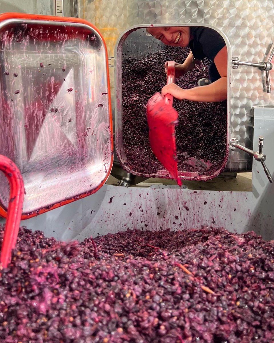 We think Sim and Helen have earned their weekends. Reckon you could face a glass of red after working like this most of the week? 

Perhaps a beer is best 😆🍺

#EnglishWine
#Essex
#CrouchValley
#WineSocial 
#Purleigh 
#NewHallWineEstate 
#Harvest2022 
#Winery
#SixteenTons