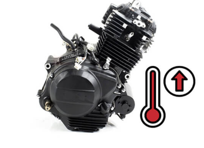 Biker Network Mx tweet media