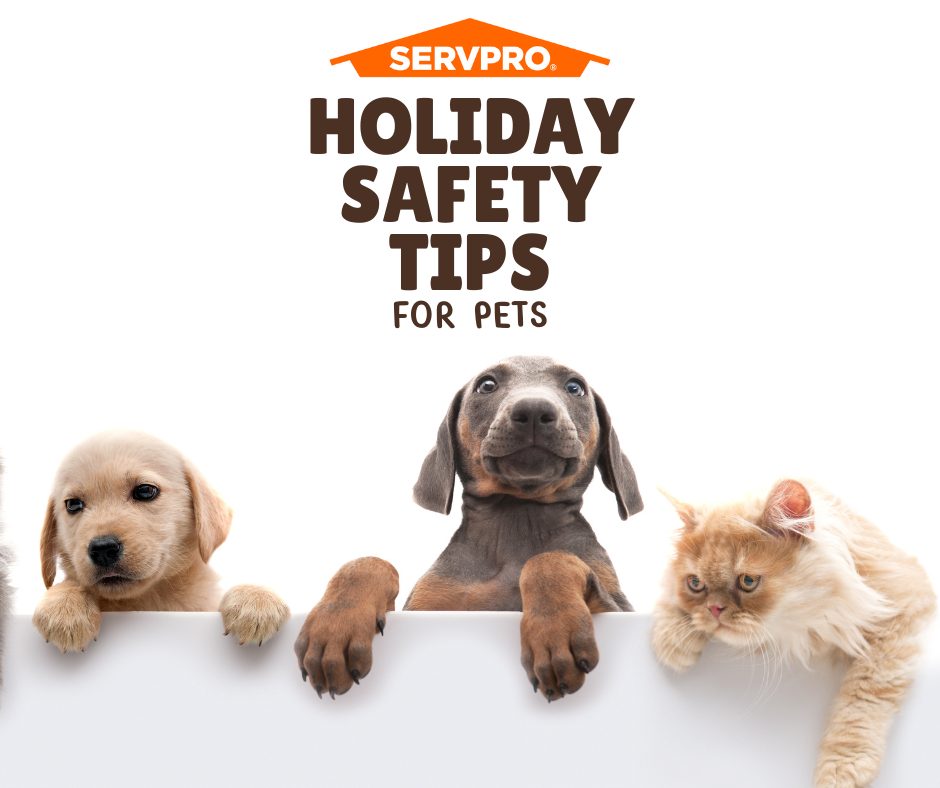 Pets are exposed to plenty of potential hazards around your home during the holiday season. One of them is lit candles. You want to keep all lit candles out of reach of cats and dogs. Protect your furry family members with pet gates. #HolidaySafetyTipsforDogs