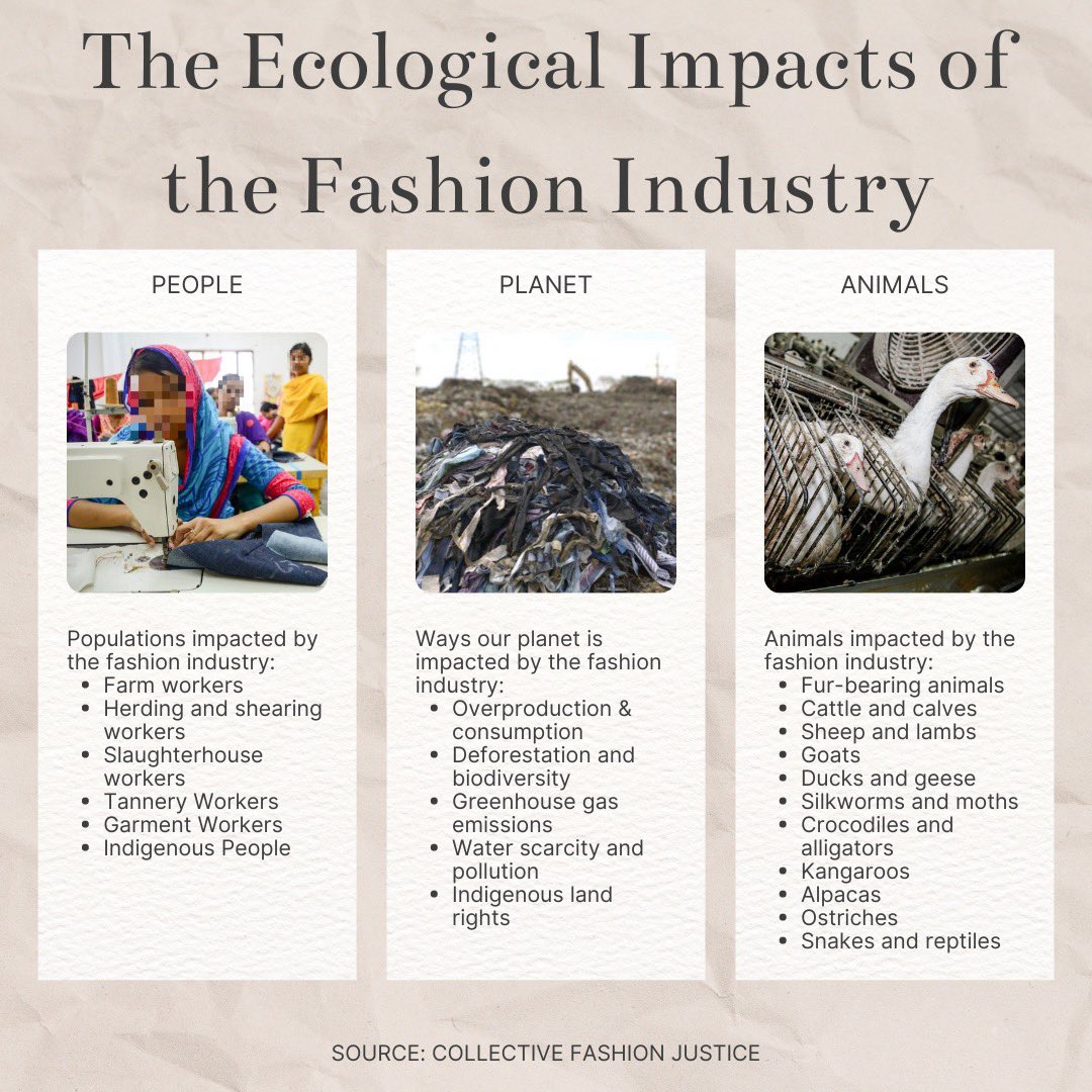 earthday_ed's tweet photo. Did you know the fashion industry impacts people, animals, and the planet? Shout out to @Co_Fash_Justice for this information, check them out for more! https://t.co/pf6T4uowCM