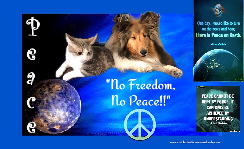 MimiLenox's tweet image. Cat and DOG Chat With Caren: #Blog4Peace 2022 &quot;No Freedom, No Peace!!&quot; catchatwithcarenandcody.com/2022/11/blog4p…