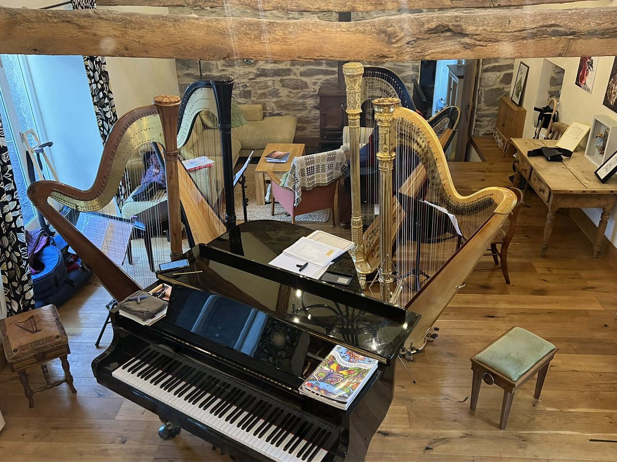 TELYN43's tweet photo. Prynhawn difyr yn ymarfer ar gyfer ein Cyngerdd Nadolig.  Glissandos, Pedal Slides a bach o sbarcl. Braf iawn ydi cyd chwarae eto! 
Lovely afternoon rehearsing some Christmas Tunes ready for December 🌲 🎄 🎼   #angharadwynjones @davies_elin #dafyddhuw @DylanCernyw #TELYN4 https://t.co/W2vRXFn1eG