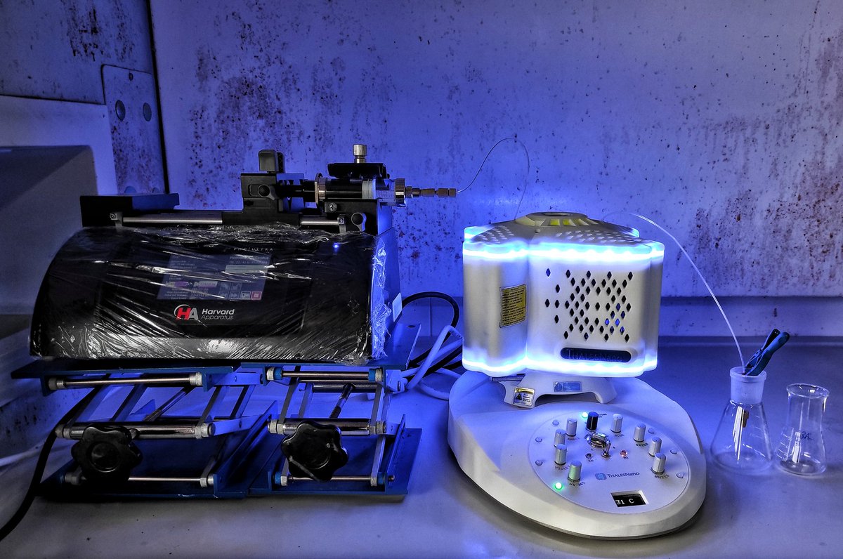 Roberta Dibenedetto tweet media