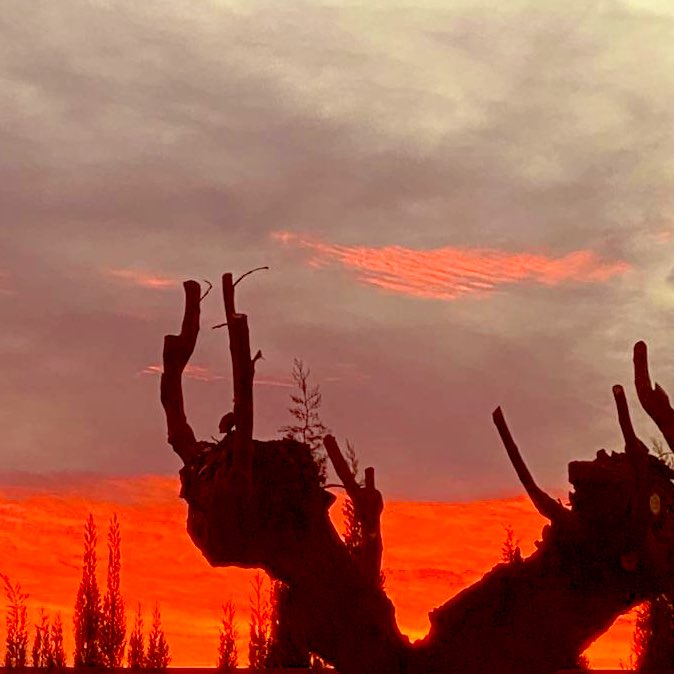 Ein sonniger Tag geht zu Ende. Einen schönen Abend allerseits und später eine ruhige Nacht 💕