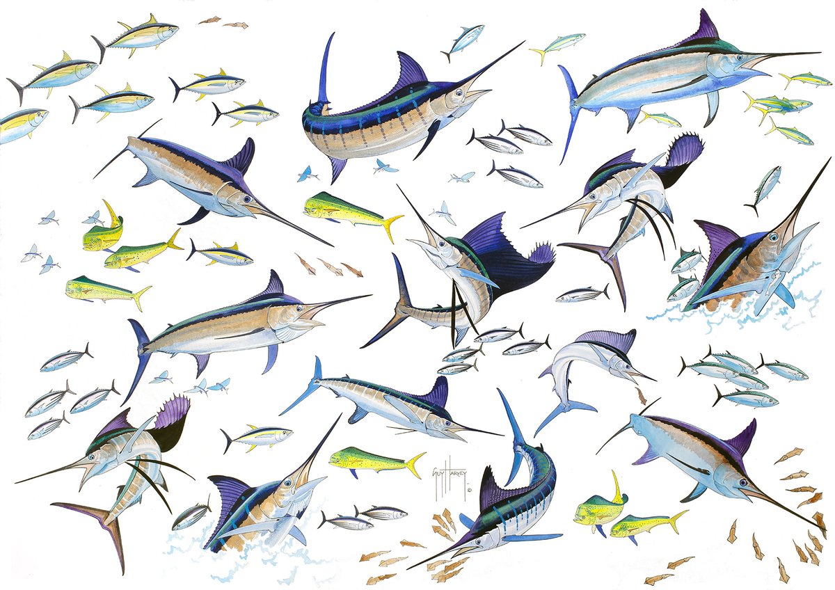 GuyHarveyOcean's tweet image. Can you name all the billfish in this @DrGuyHarvey collage?

#GHOF #GuyHarvey #Billfish