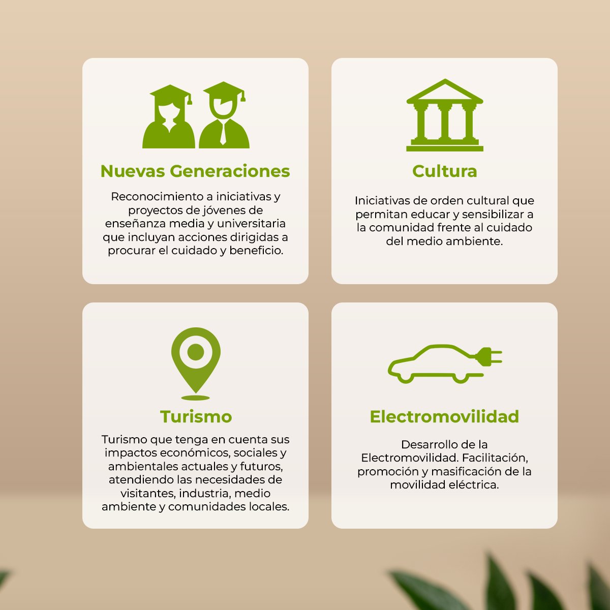 Fundación Recyclápolis tweet media