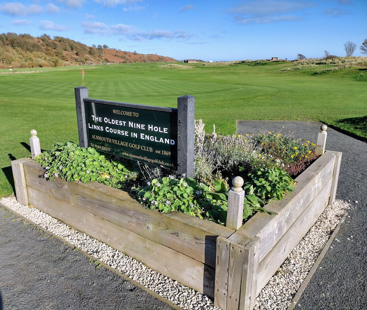 BirtiesBlog's tweet photo. Alnmouth Village #Golf Club on a glorious November afternoon - 153 years and counting... ⛳ @golfalnmouth @VisitNland @ukgolfguy https://t.co/imKsXzO6Tu