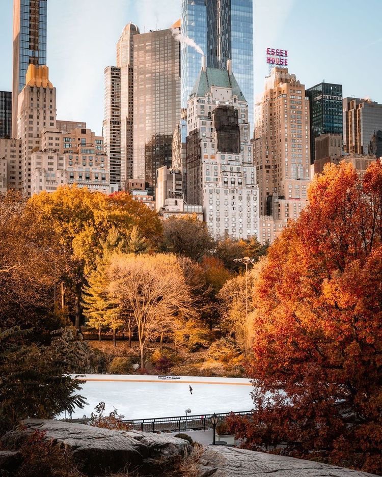 fall in New York City