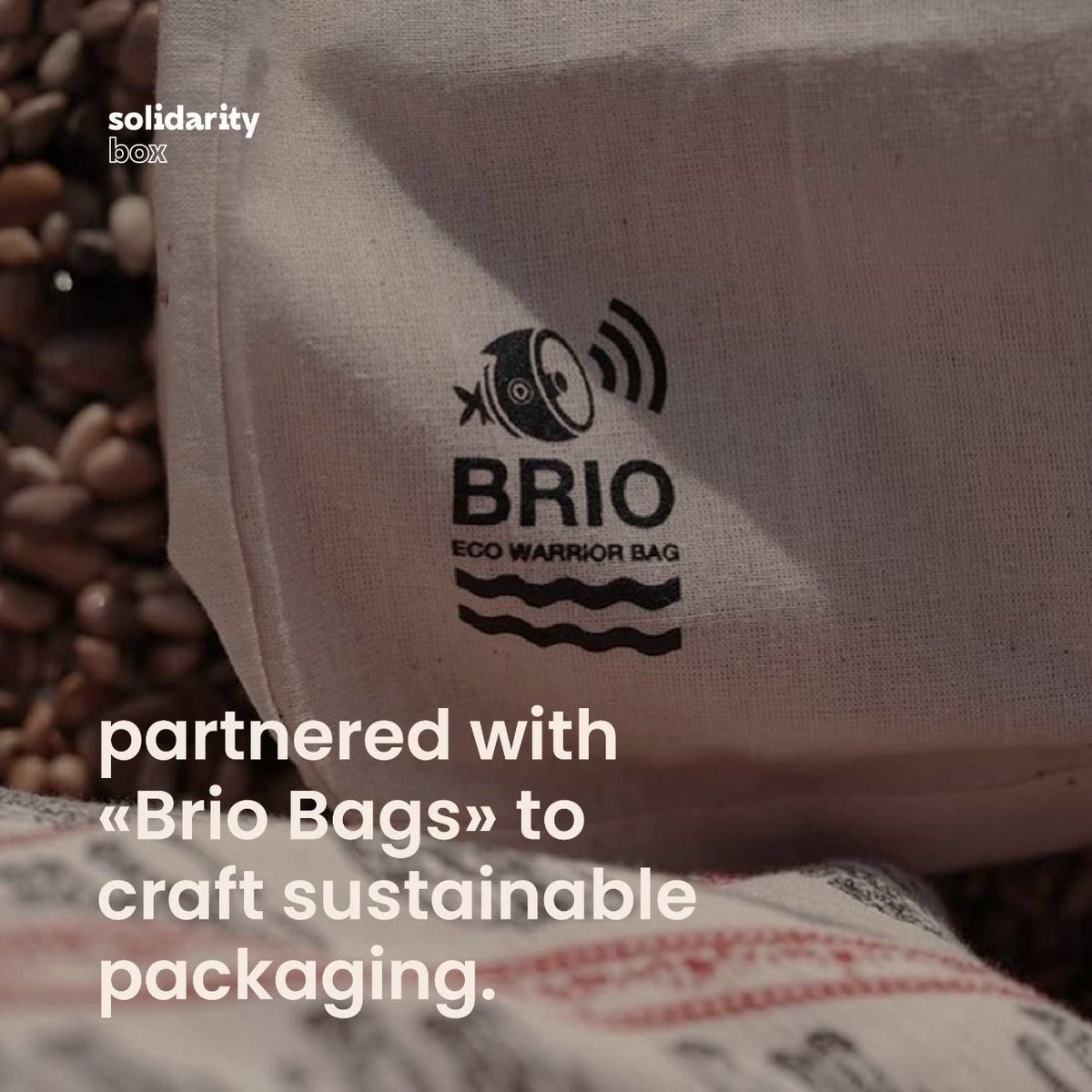 The Solidarity Directory - دليل تضامن tweet media