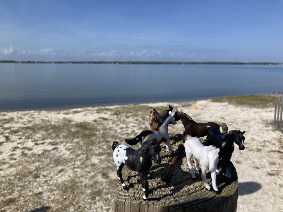 Rodney_Crouse's tweet image. #SwiftLearner #AssatagueAwesome @dacia92 @AssateagueNPS learning about the shifting sands with friends.