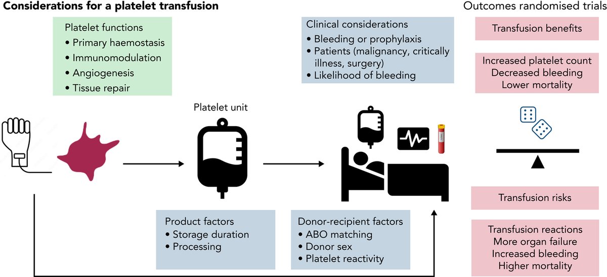 BloodPortfolio's tweet photo. How I use platelet transfusions https://t.co/znwZWzyAaV https://t.co/zL0UgQfOJH
