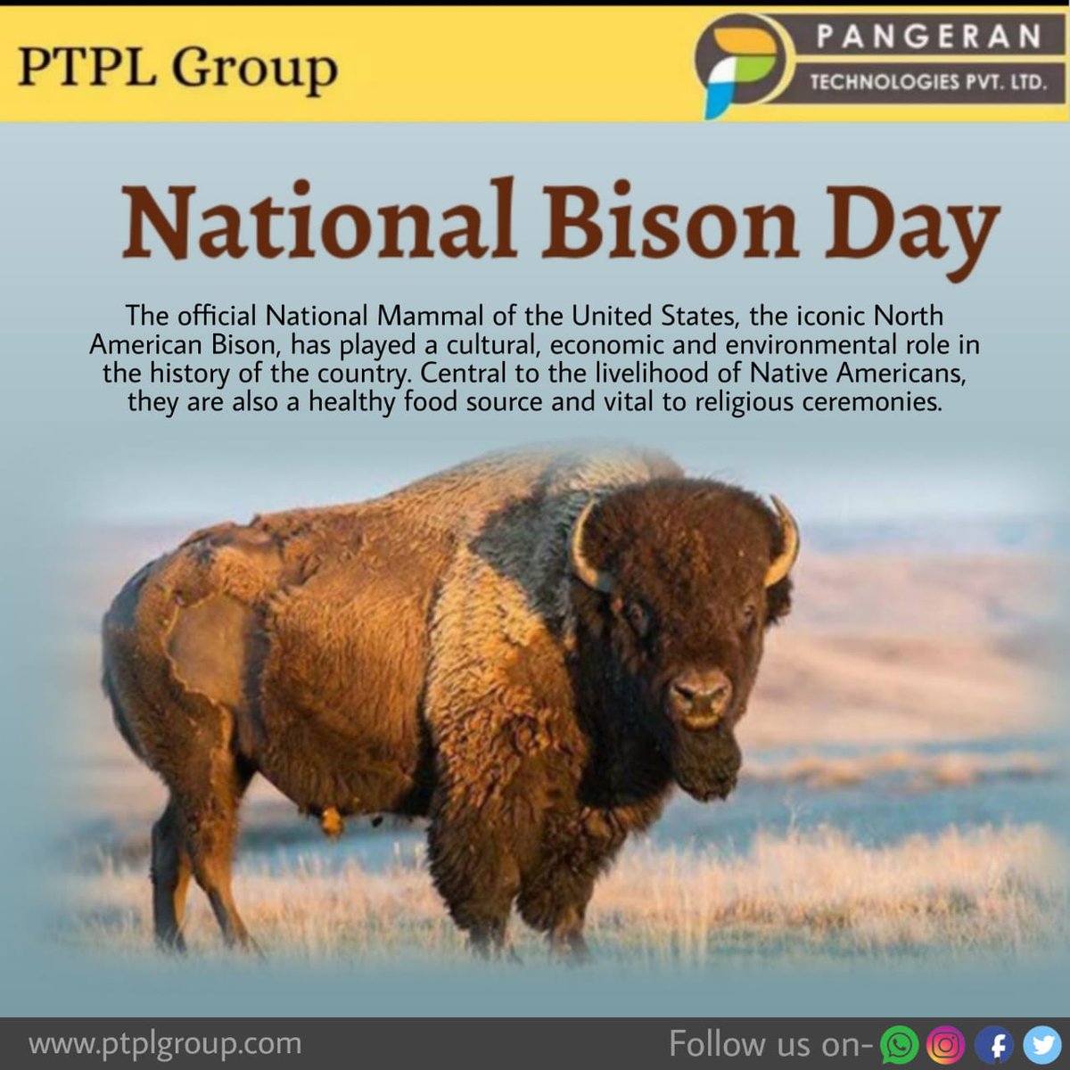 PangeranLtd's tweet photo. ✨✨ Pangeran Technologies wishes you National Bison Day ✨✨
#pangerantechnologies #itserviceproviderinnagpur #bestitserviceprovider #itserviceproviderindhantoli #dayoftheyear #nationalbisonday #largestlandmammal #northamerica #nationalmammal #shaggycoat #itservices #itsupport https://t.co/T1q5oT3nyF