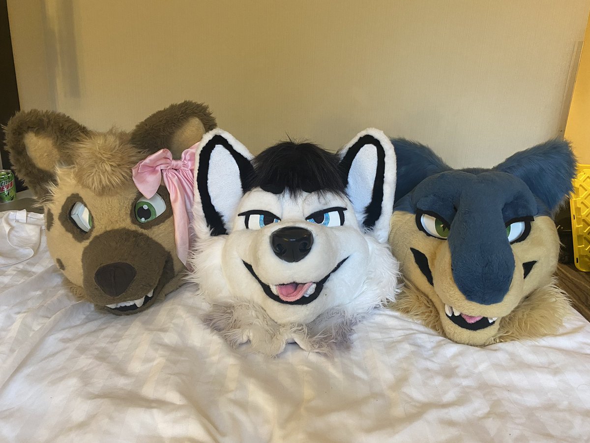 They up to no good. 👀 <a href="/HowloweenCanada/">Howloween 2025</a>

<a href="/HeyyMaple/">🦊</a>
<a href="/HyenaPickles/">Pickles Hyena</a>