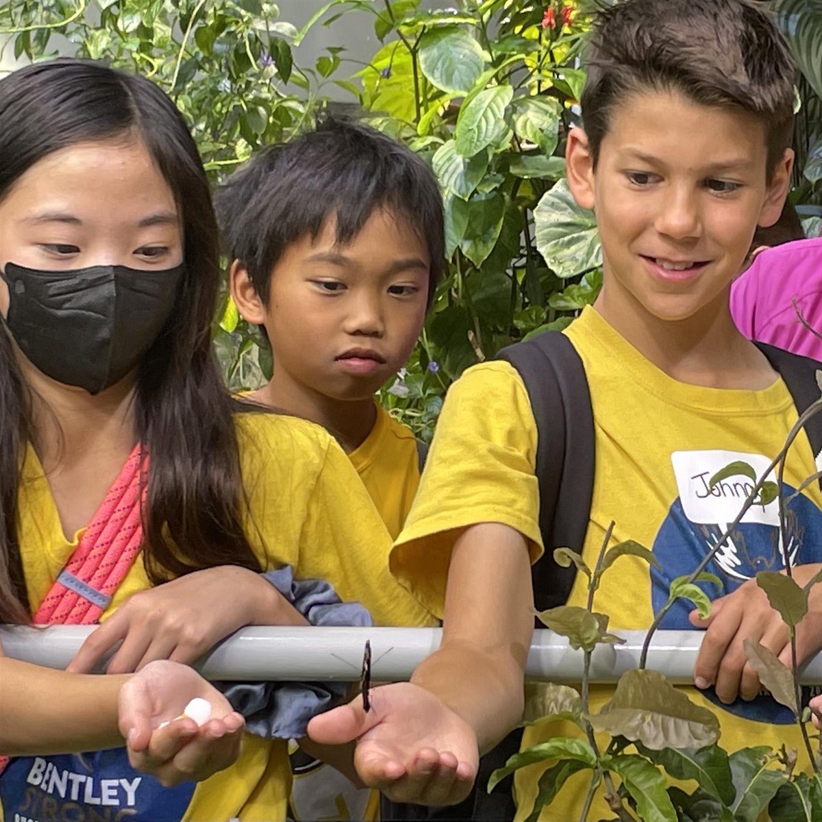 bentleyschool's tweet photo. Last week, our 5th graders ventured to the to the @calacademy for their first field trip of the year! #bentleyschool https://t.co/ATLc9VRtVE