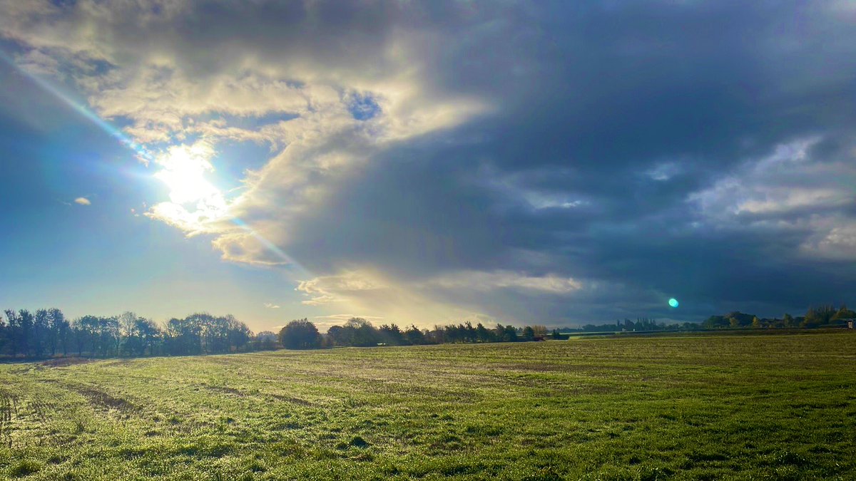 Will Sergeant tweet media